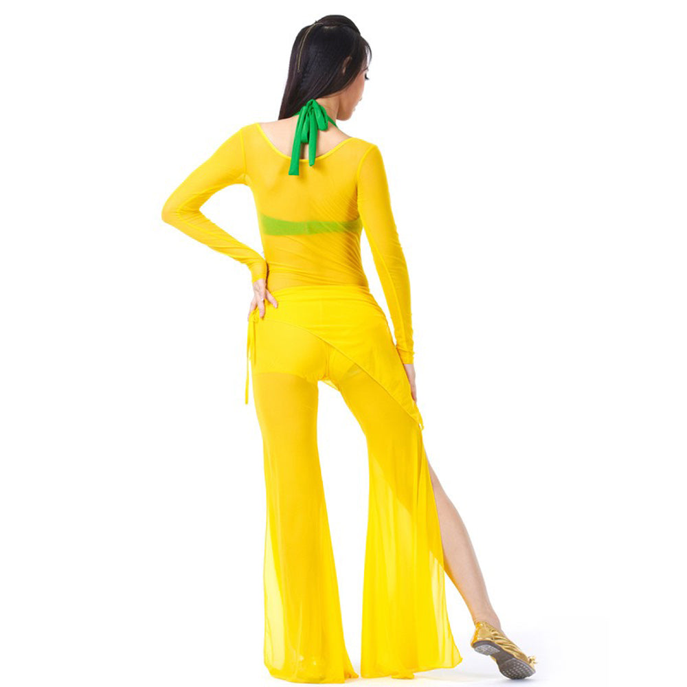 Long/Short Sleeve Bodycon Gauze Top Sheer Pure Mesh T Shirts Sexy Adult Bellydance Costumes Carnival Outfit Open Bust Leotard