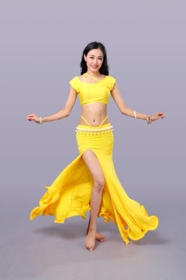 5 Colors Polyester Morden Dance Dress Belly Dance costumes Belly Dance Dress