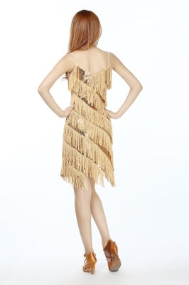 Professional And Sexy Latin Dance Costumes, Women's Adult Autumn Performance Costumes, Tassel Latin Dress Skirt