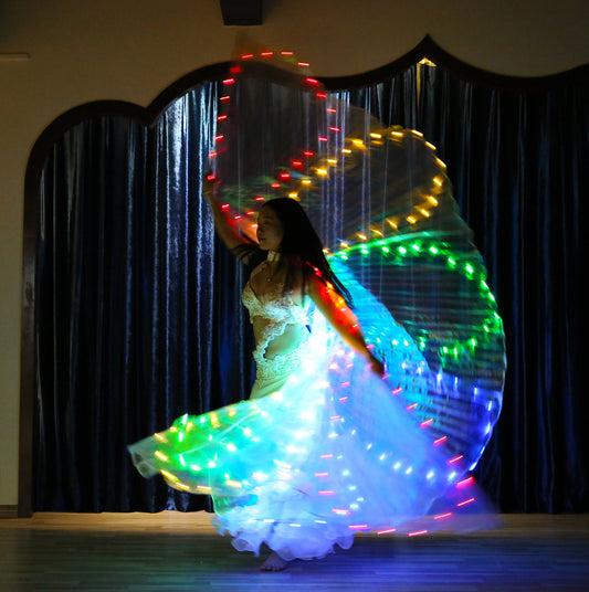 LED Isis Wing 8 Petals - Belly Dance Light Up Wing Carnival Halloween Party Club Wear with Telescopic Sticks