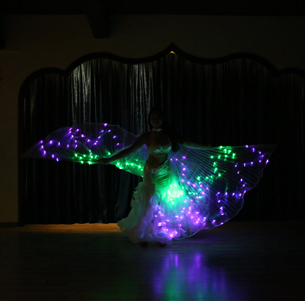 LED Isis Wing 12-Pointed Star - Belly Dance Light Up Wings for Carnival Halloween Party Club Wear with Telescopic Sticks