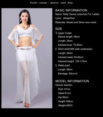 Belly Dance Costumes, Bellydance Dress, Bellydance Skirt, 4 PCS Upper outlet/Skirt/Waist scarf/Safe underwear