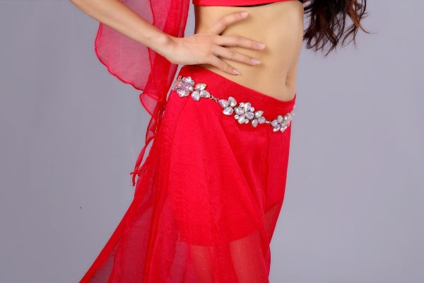 Belly Dance Costumes, Bellydance Dress, Bellydance Skirt, 4 PCS Upper outlet/Skirt/Waist scarf/Safe underwear