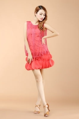 Professional And Sexy Latin Dance Costumes, Women's Adult Autumn Performance Costumes, Tassel Latin Dress Skirt