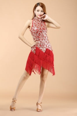 Professional And Sexy 5 Color Latin Dance Costumes, Women's Adult Autumn Performance Costumes, Tassel Latin Dress Skirt