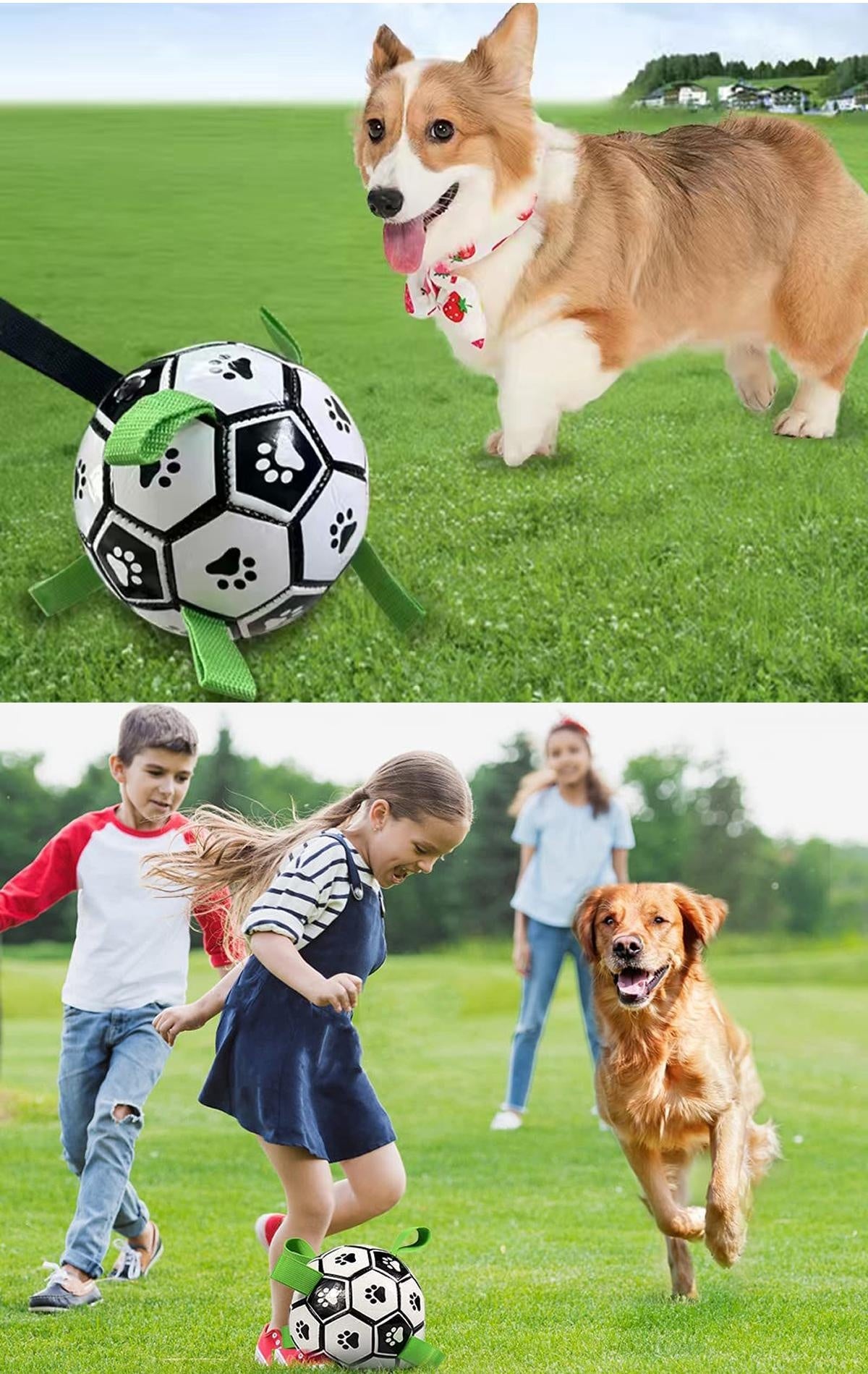 Soccer Ball with Straps, Interactive Puppy Toys for Tug of War, Birthday Gifts, Durable Water Toy for dog