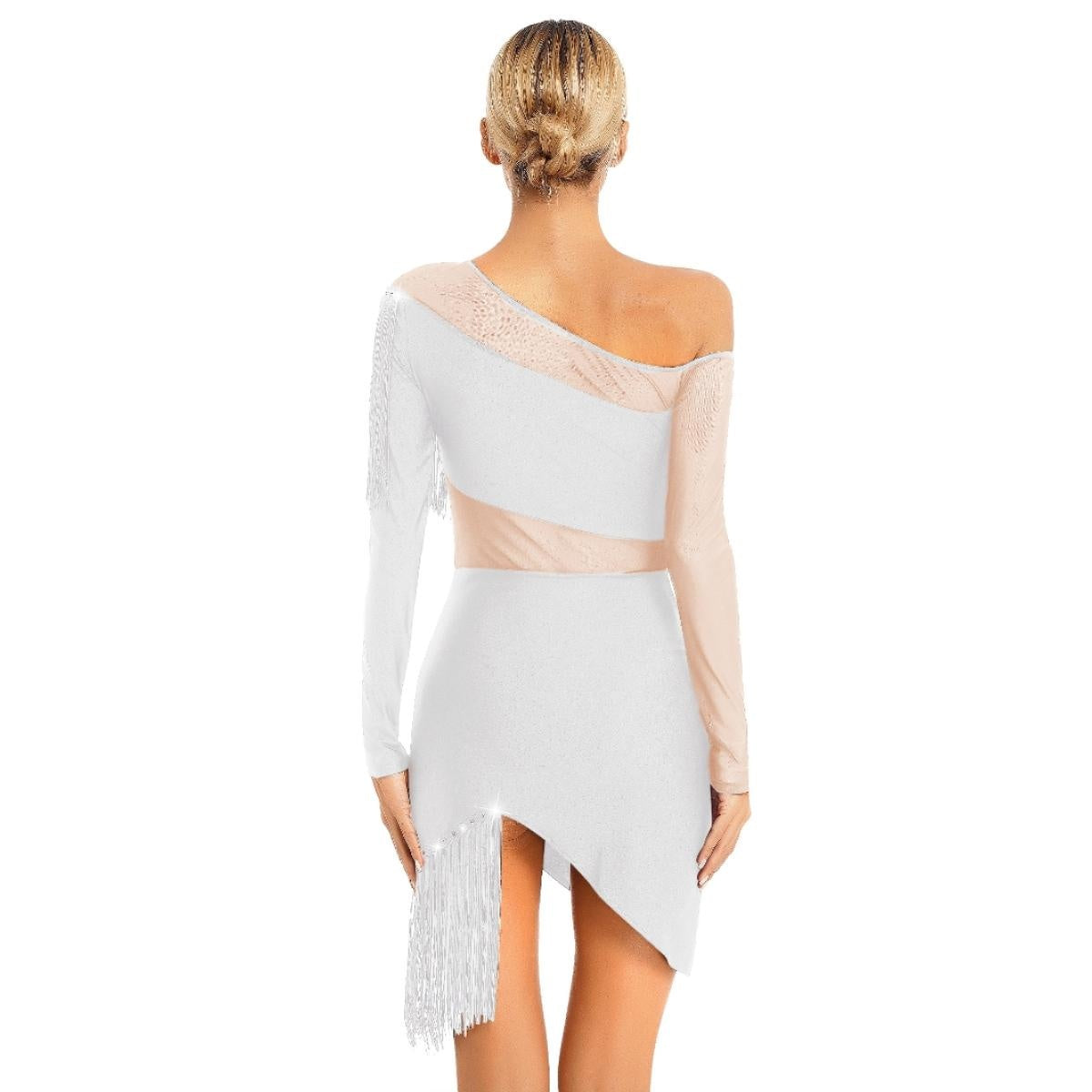 Women National Ballroom Fringed Tango Samba Dance Dress Mesh Long Sleeve Latin Dance Performance Dress