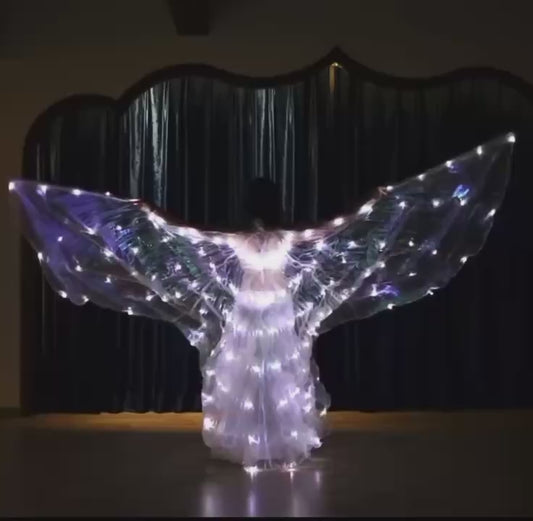 6-Colors Changing LED Wings, 360-degree Dancing Wings and Luminous Props for Belly Dance Performances
