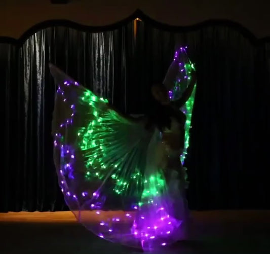 LED Isis Wing 12-Pointed Star - Belly Dance Light Up Wings for Carnival Halloween Party Club Wear with Telescopic Sticks