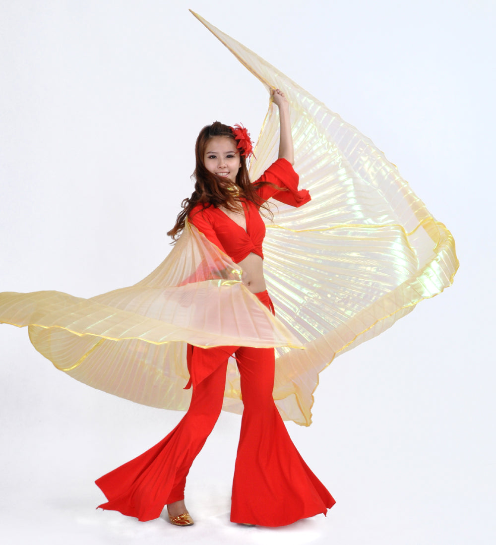 Belly Dance Costume Isis Wings, Dance Wings Angel Wings for Halloween Carnival Performance with Sticks