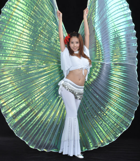Belly Dance Costume Isis Wings, Dance Wings Angel Wings for Halloween Carnival Performance with Sticks